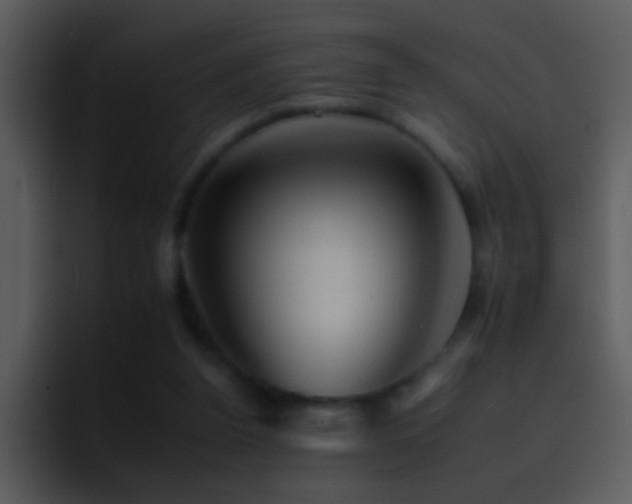 X0000095670160200801081215