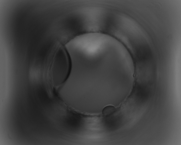 X0000095670161200801081215