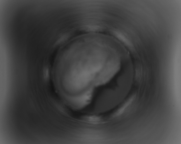 X0000095670165200801081216