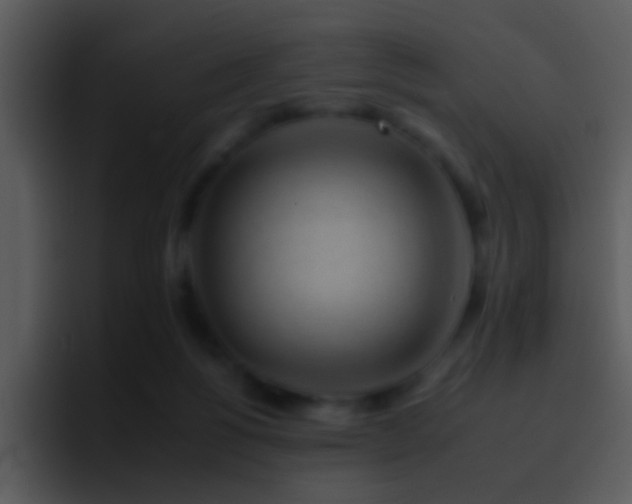 X0000095670168200801081216