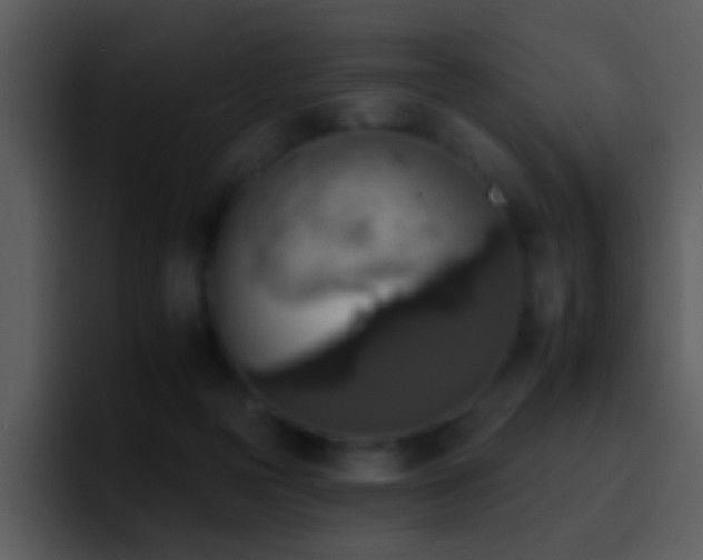 X0000095670169200801081216