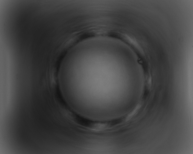 X0000095670170200801081216