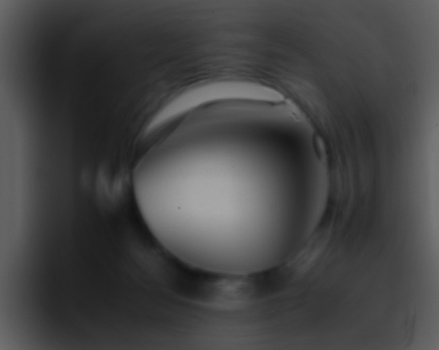 X0000095670172200801081216
