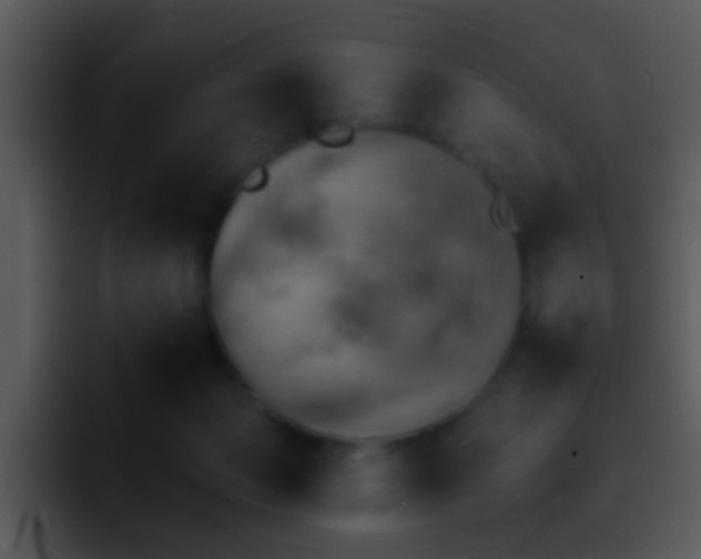 X0000095670173200801081216