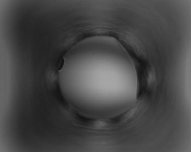 X0000095670176200801081216