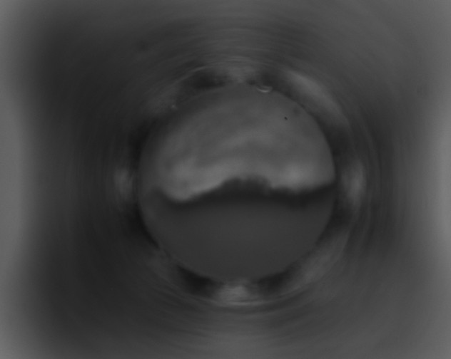 X0000095670177200801081216