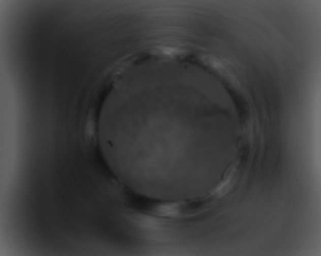 X0000095670178200801081216