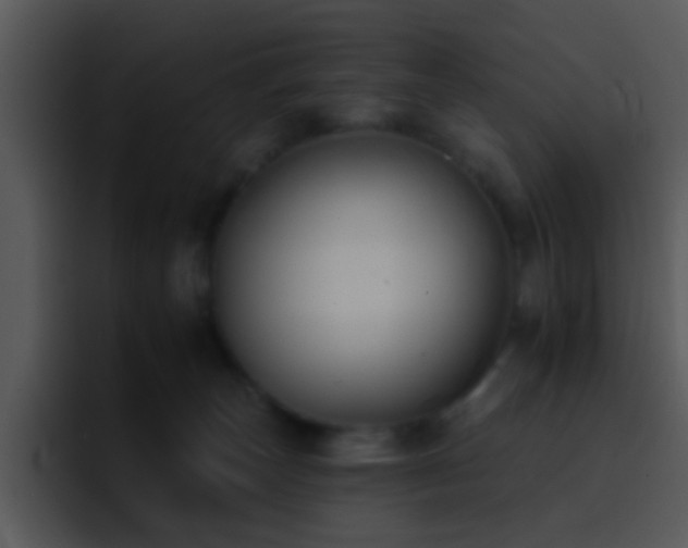 X0000095670179200801081216