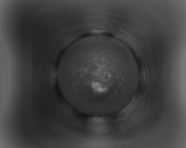 X0000095670180200801081216