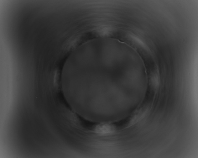X0000095670181200801081216