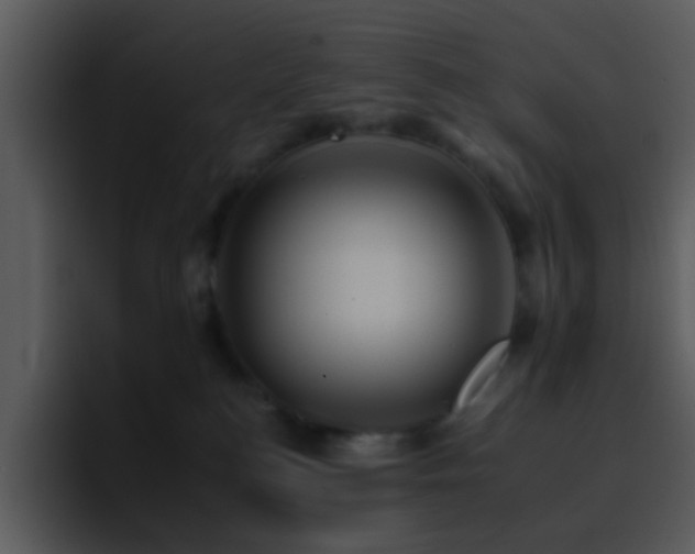 X0000095670184200801081216