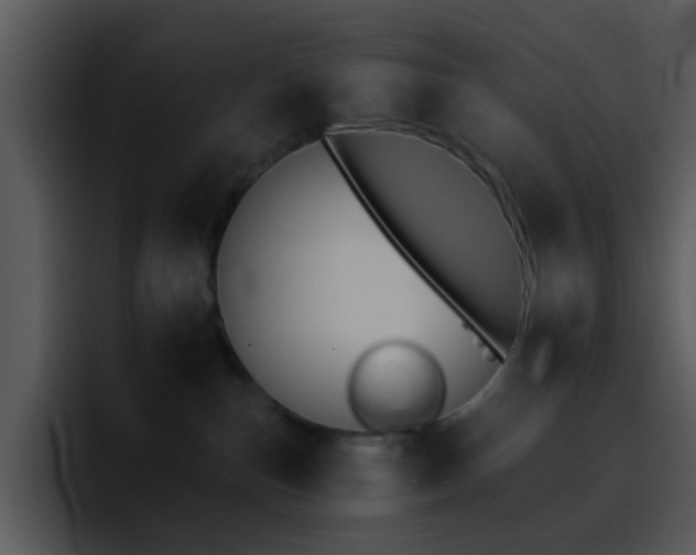 X0000095670187200801081216