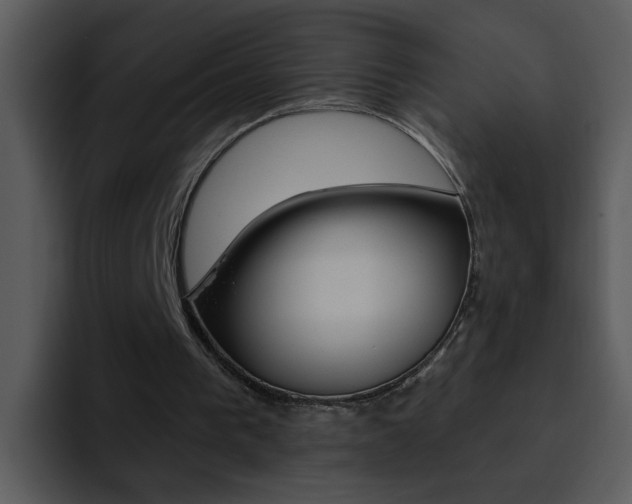 X0000095670193200801081215