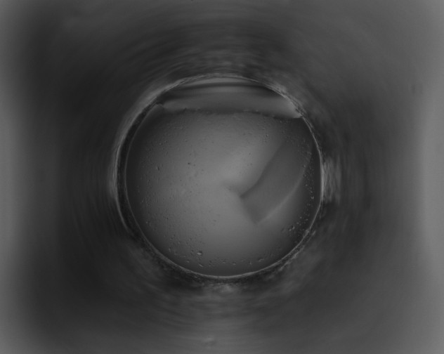 X0000095670195200801081215