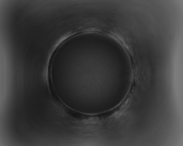 X0000095670196200801081215