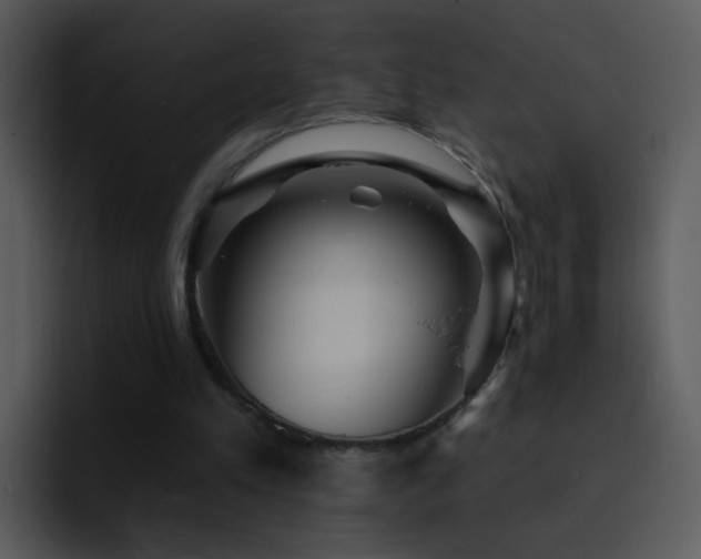 X0000095670197200801081215