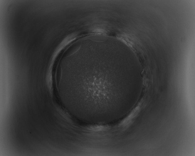 X0000095670198200801081215