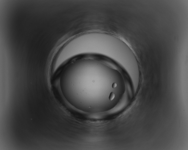 X0000095670199200801081215
