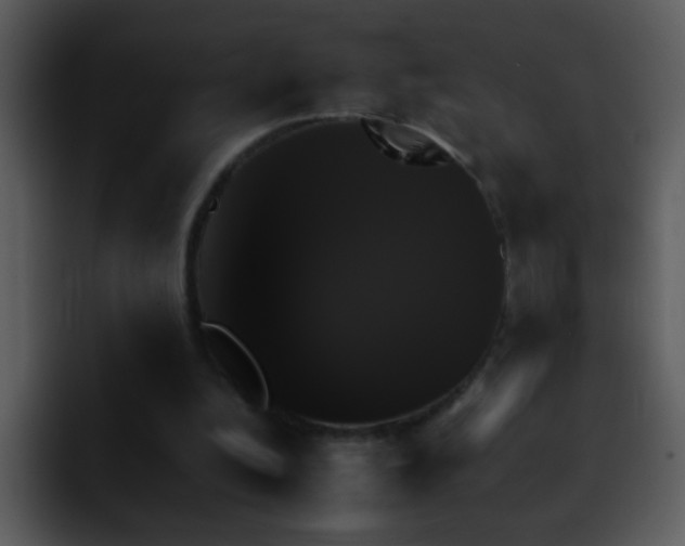 X0000095670200200801081215