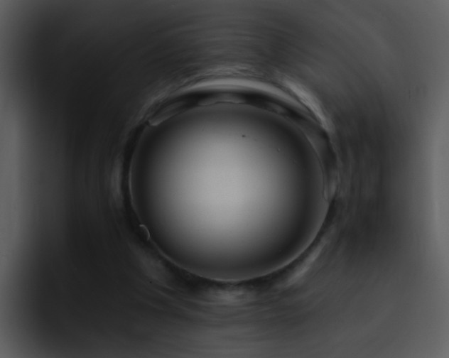 X0000095670201200801081215