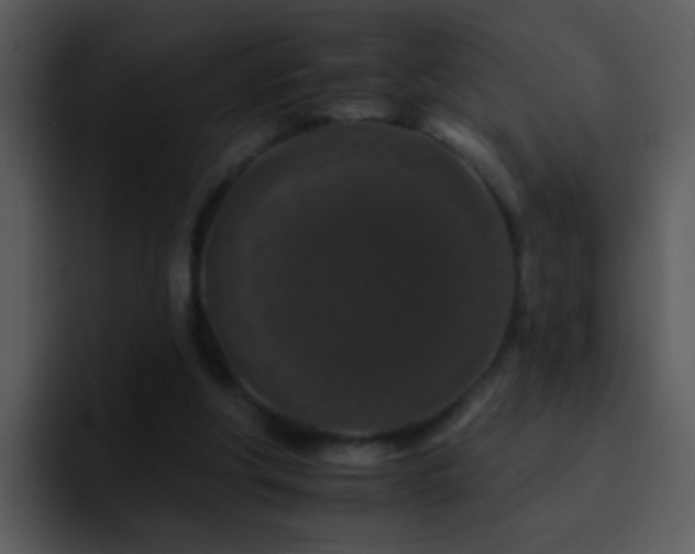 X0000095670202200801081215