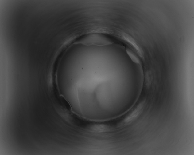 X0000095670203200801081215