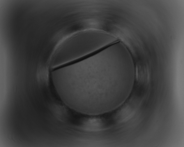 X0000095670204200801081215
