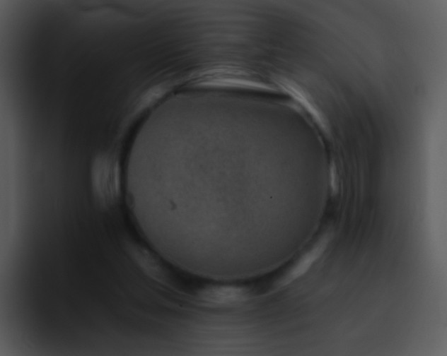 X0000095670205200801081215