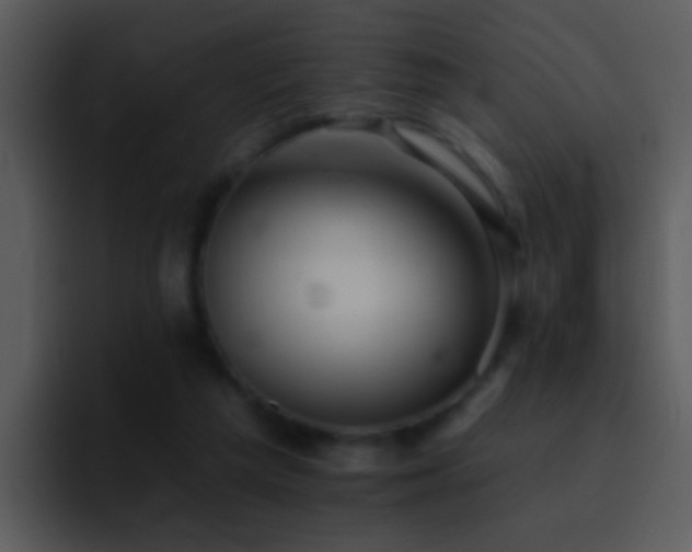 X0000095670209200801081215