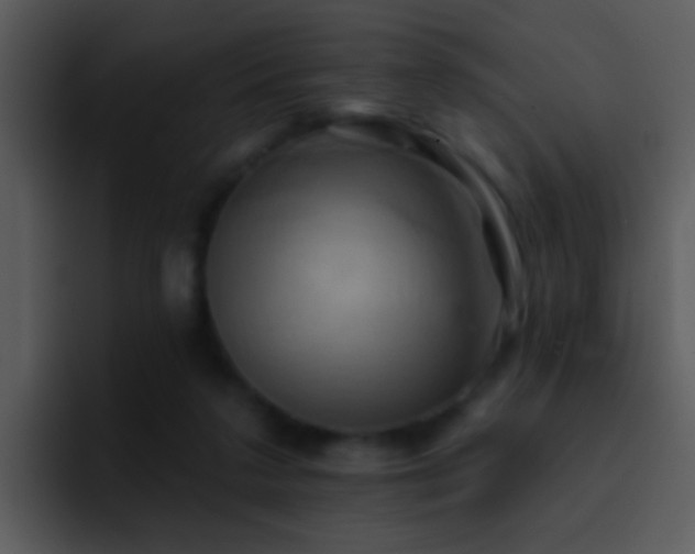 X0000095670211200801081215