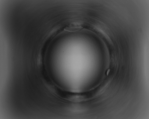 X0000095670212200801081215