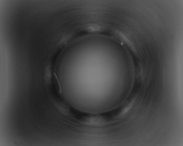 X0000095670215200801081215