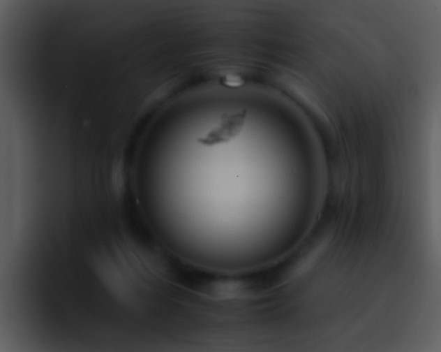 X0000095670216200801081215