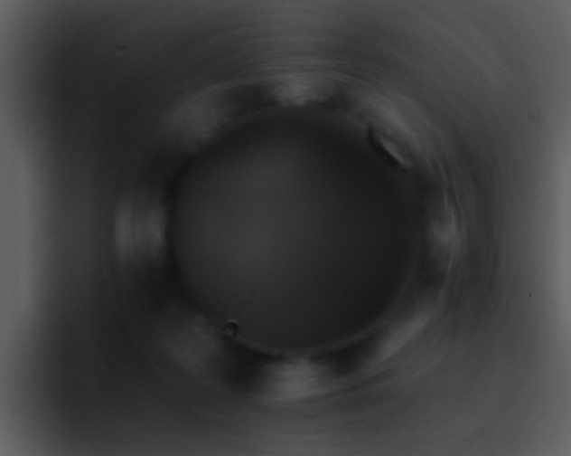 X0000095670219200801081215