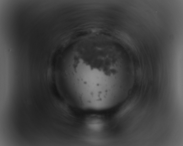 X0000095670222200801081215