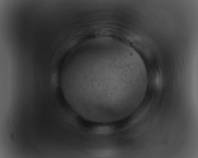 X0000095670224200801081215