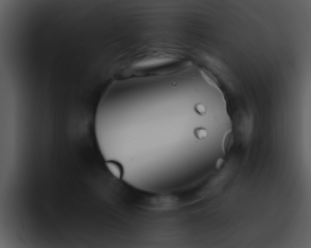 X0000095670225200801081215