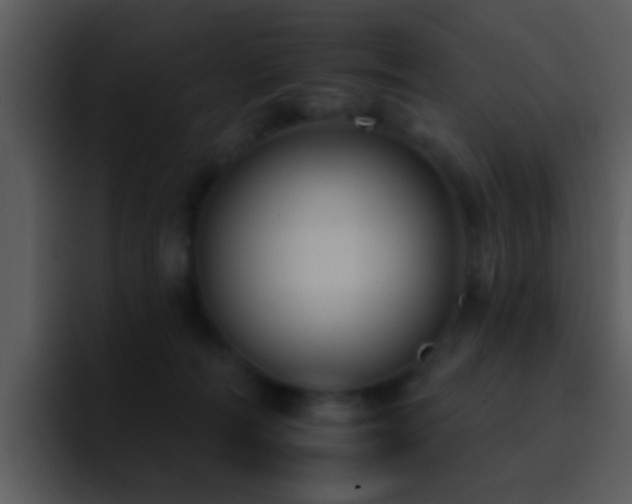 X0000095670226200801081215