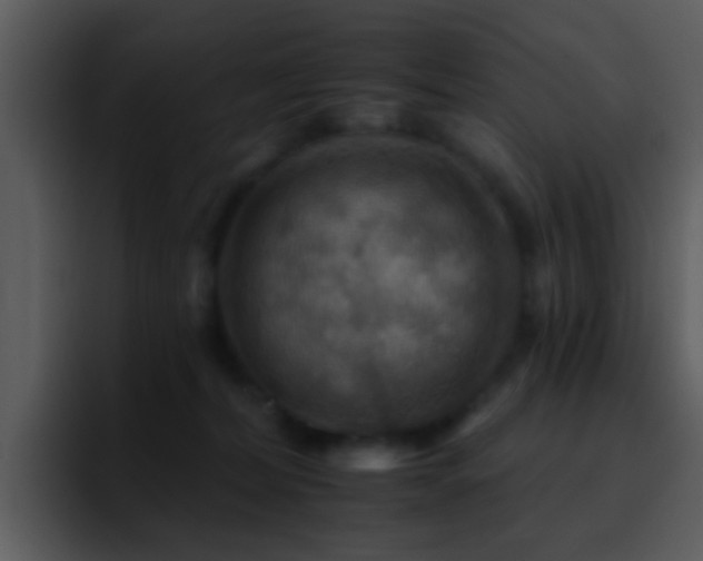 X0000095670228200801081215