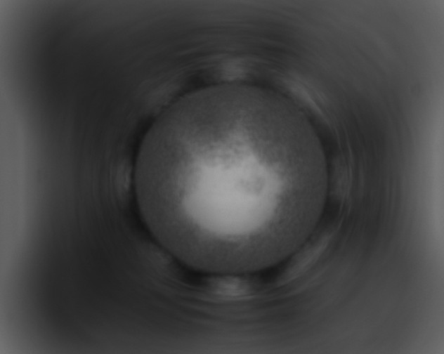 X0000095670230200801081215