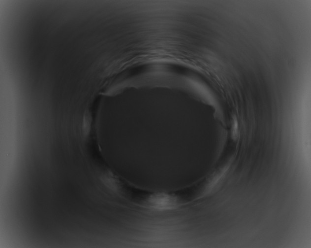 X0000095670231200801081215