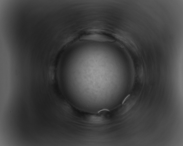 X0000095670232200801081215