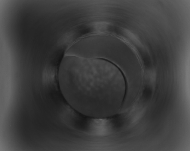 X0000095670233200801081215