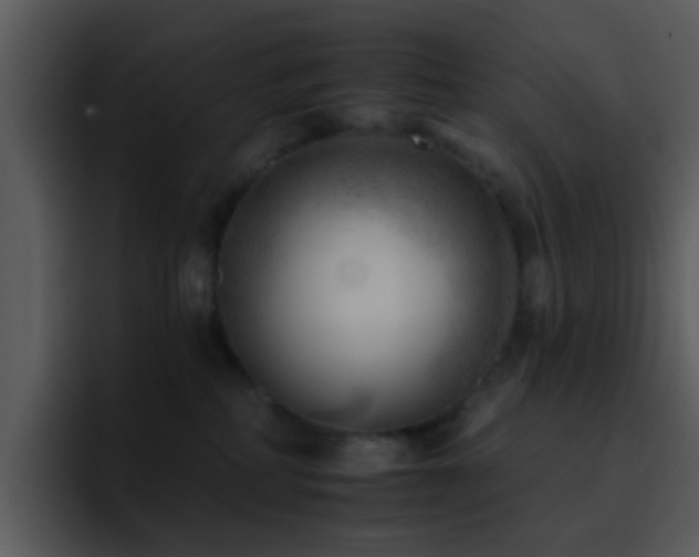 X0000095670234200801081215
