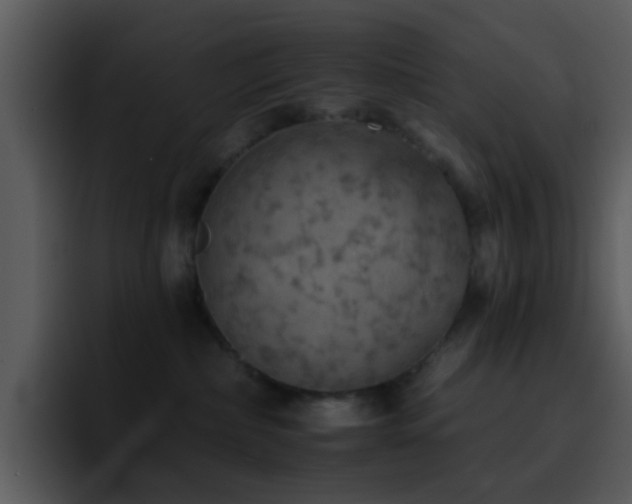 X0000095670236200801081215