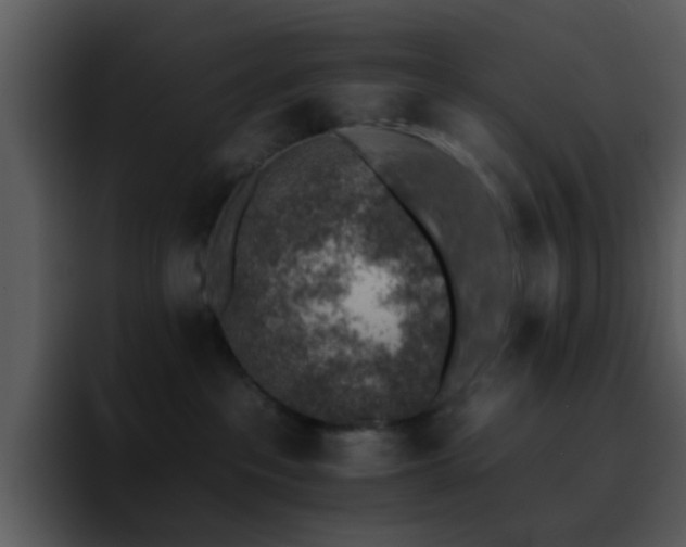 X0000095670237200801081215