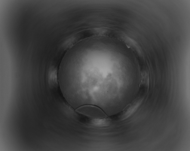 X0000095670238200801081215