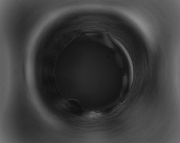 X0000095670239200801081215