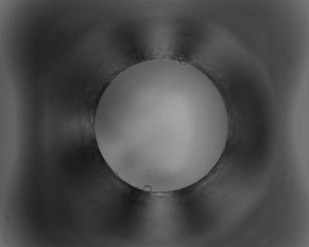 X0000095670240200801081215