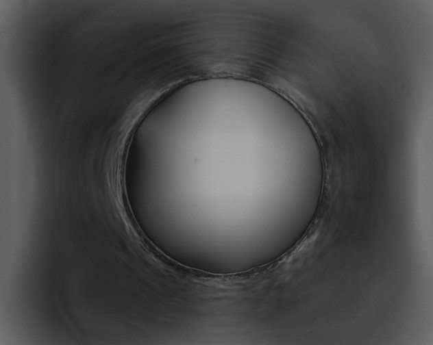 X0000095670241200801081214